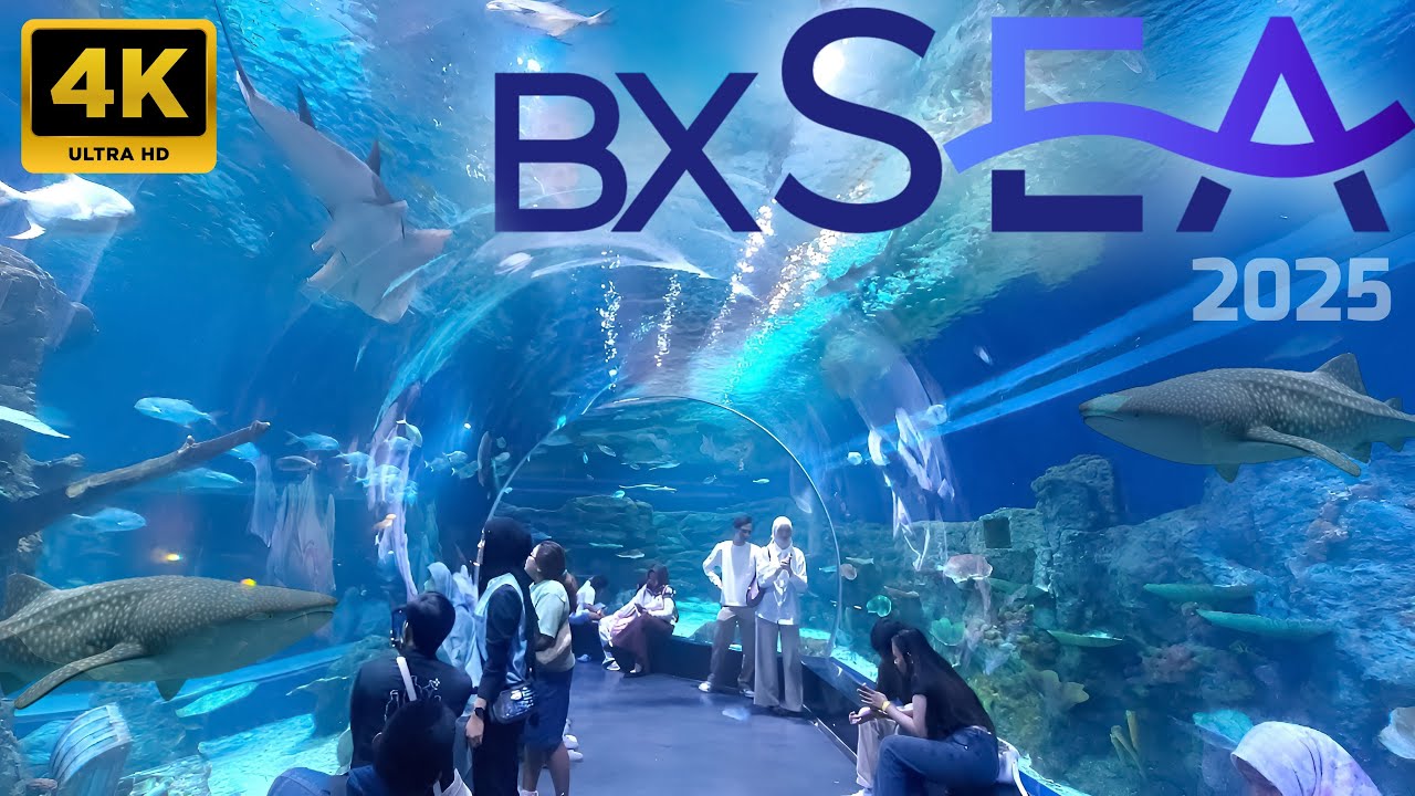 Aquarium BXSea Terkini 2025‼️Aquarium di dalam Mall Bintaro Xchange‼️
