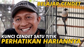 BELAJAR CENDET Kunci Cendet Satu Titik Perhatikan Hariannya