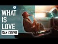 Haddaway  what is love  saxophone cover  alexandra ilieva  thomann