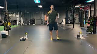 Workout Finisher- DB Shuffle/Rebounder/Drop Squat