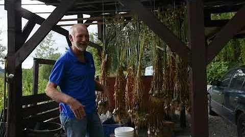 Northern Gardener Video Series: Growing Garlic