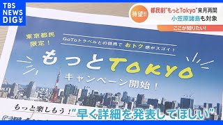 都民割“もっとTokyo”6月 再開 小笠原諸島や伊豆諸島も対象　期待の声も続々｜TBS NEWS DIG