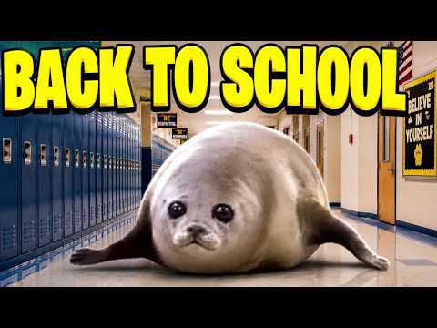 Bouncing Seals Back To School (meme)