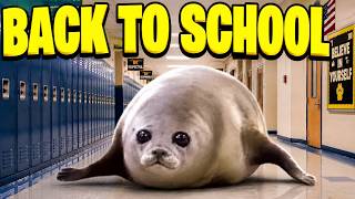 Bouncing Seals Back To School (meme)