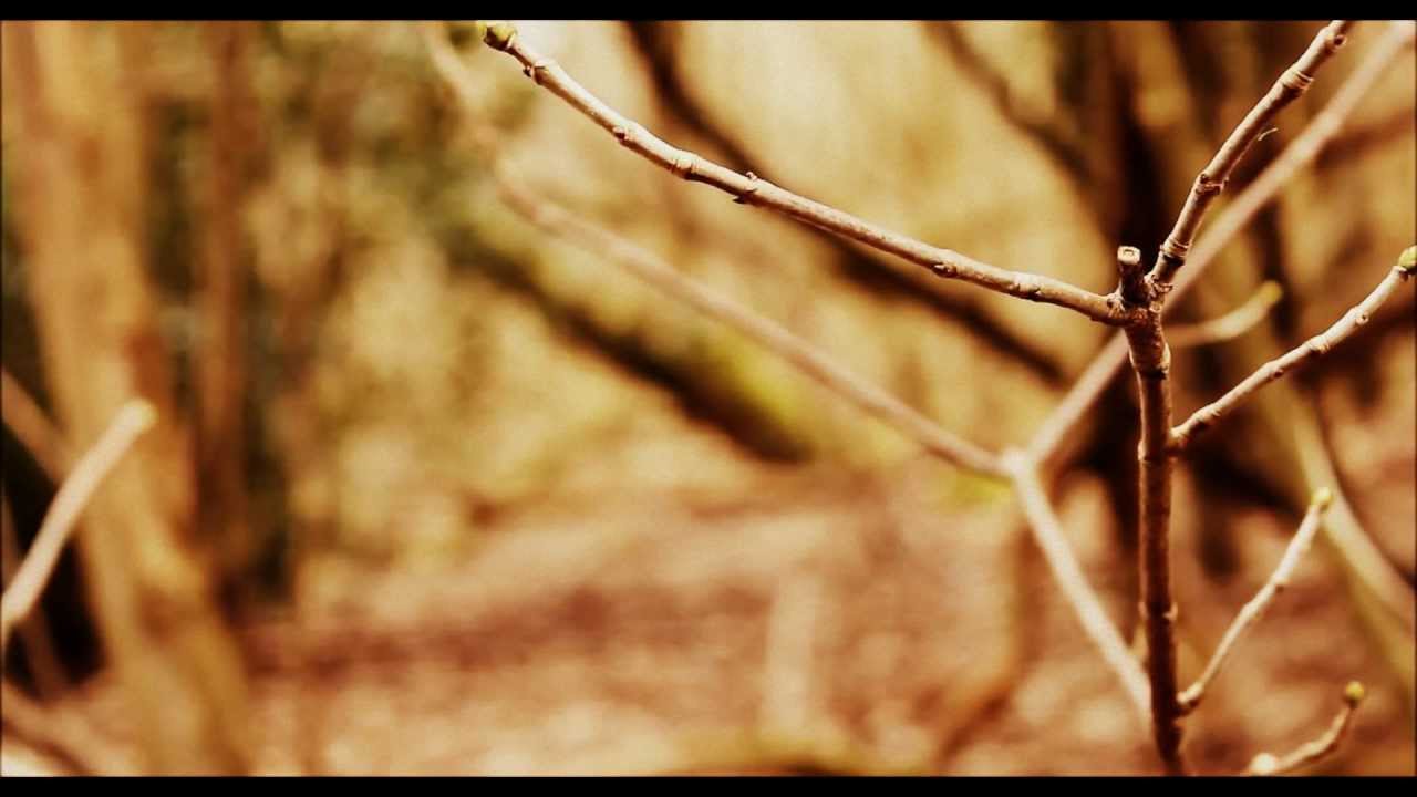 Watch Outro - M83 (Unofficial Music Video) on YouTube Watch Outro - M83 (Unofficial Music Video) on YouTube