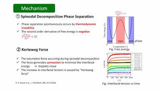 Numerical simulation on topological change of viscous fingering in a partially miscible system Profile