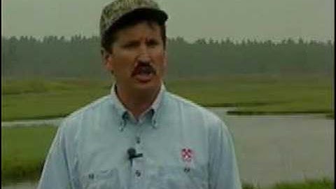 Mike Lardy Explains the eCollar