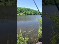 Fishing with Ray Ban Meta Sunglasses #fishing #rayban #nofilter #meta #facebook #metasunglasses #hmm