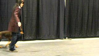 MKCnov2011 018.avi