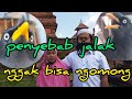 penyebab jalak nggak bisa ngomong