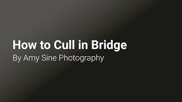 Culling in Bridge