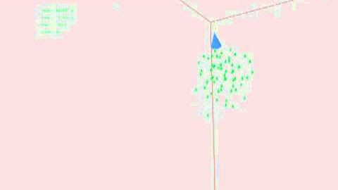 Swarm following the leader