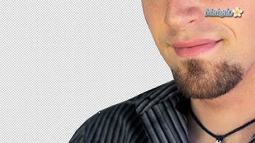 Photoshop Tutorial - Vector Masks