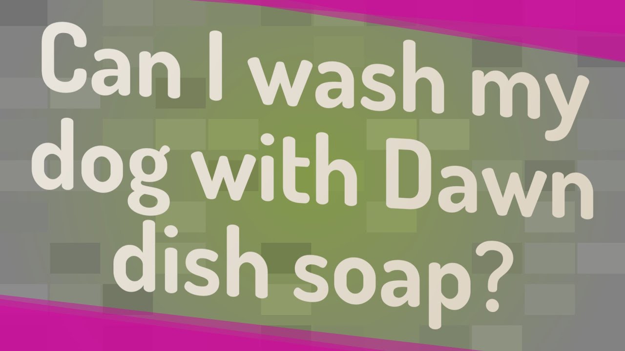 can i wash my dog with dawn