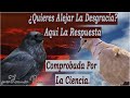 La Paloma Y El Cuervo: Los Dos Profetas - Reflexión Que Cambiará Tu Vida Si le Das La Oportunidad.