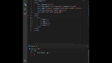 Custom List Style in CSS || Custom Bullet Points CSS