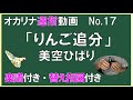 オカリナ りんご追分 運指動画 楽譜付き 替え指図付き オカリナ伴奏かんら