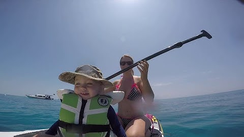 Hurricanes, Haul Outs and Big Decisions - Lazy Gecko VLOG 61