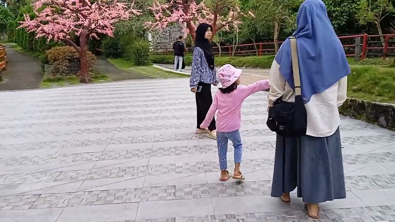 the lost world castle, 25/12/2025