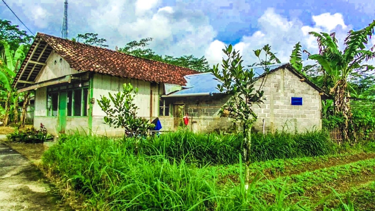 Sebuah Kampung di Pinggiran Kota Wonosobo, Penawangan Tawangsari Wonosobo Jawa Tengah