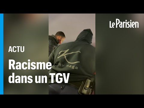 Quand un douanier tient des propos racistes envers des ados ukrainiens dans un train