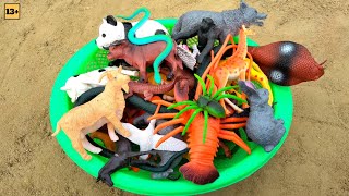 Plastic Animals Figure Animals Collection Cow Horse Tiger Camel Goat Raindeer Zebra Dog Cat.