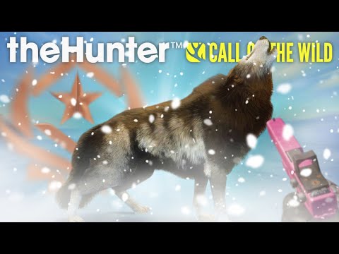The Great One Wolf ATTACKED… and the 10mm Glock Ended It! The Hunter call of the wild.