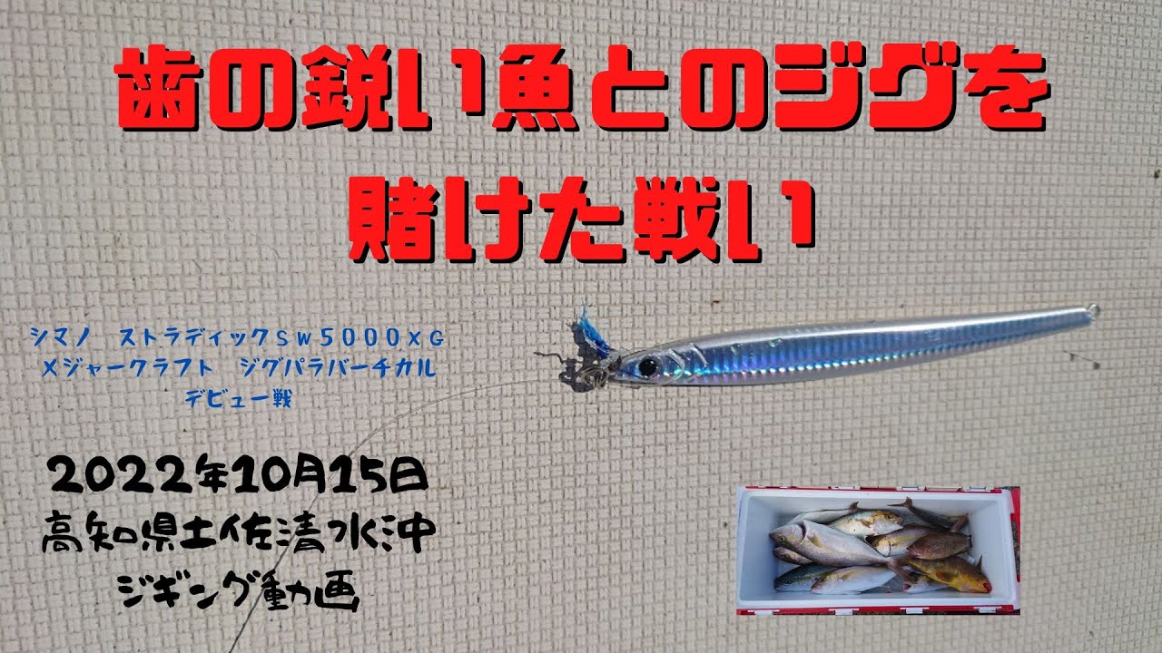 シマノ）ストラディックSW5000XGと（メジャークラフト）ジグ