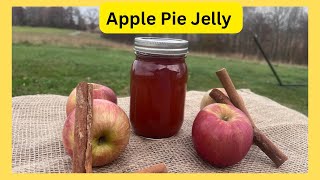 Making Apple Jelly: Step-by-Step Guide #howtomakeapplejelly