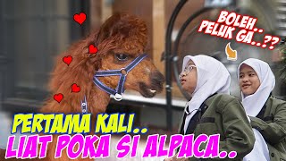  See New Animals Rakana And Raina Are Fascinated To See Poka