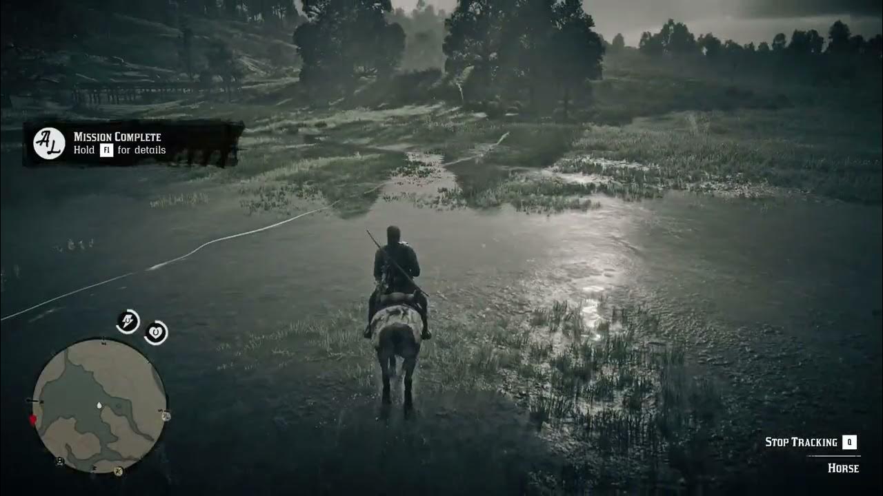 RDR2 How I got the Missouri Fox Trotter early Tracking method YouTube