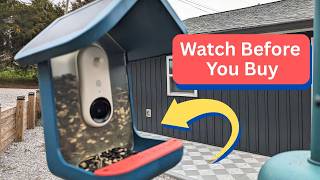 Honest Review of Birdbuddy