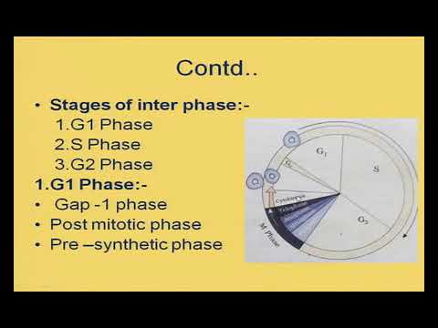 Bio class 11 unit 08 chapter 01 cell structure and function-cell cycle and cell division Lecture 1/2