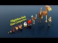 Flightless birds size comparison  3d animation animation animals