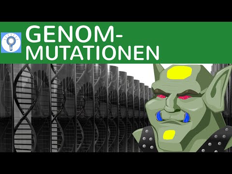 Genommutationen: Trisomie, Monosomie, Geschlechts-Anomalien, Down-Syndrom - 3 | Genetik