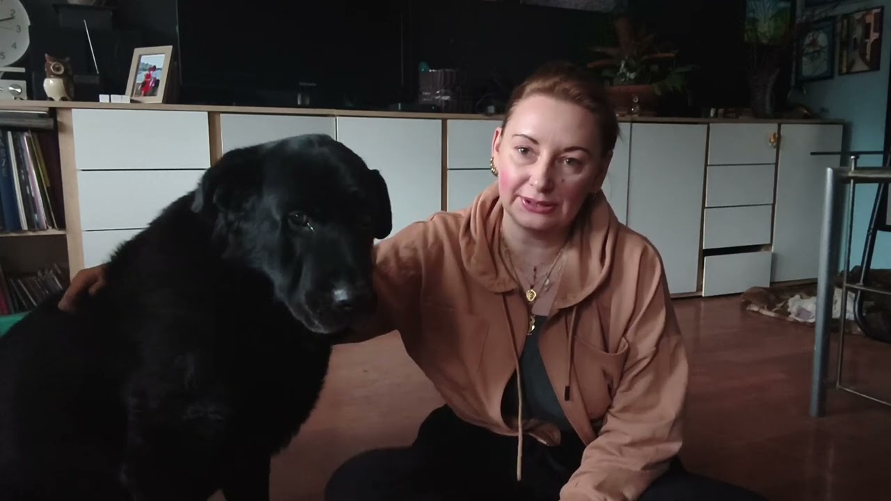 Urodziny Pako, współczucie i chatka z herbatników na słodko. Spokojne życie na wsi 🙂