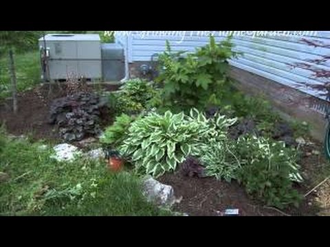 Shaded Backyard Ideas 9 clever diy ways for a shady backyard oasis Plants For A Shaded Garden At Home With P Allen Smith Shady Garden Ideas Shaded Backyard Ideas shady backyards shade garden design ideas shade landscape designs Plants For A Shaded Garden At Home With P Allen Smith Shady Garden Ideas