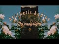 ✧aesthetic music✧ (copyright free)