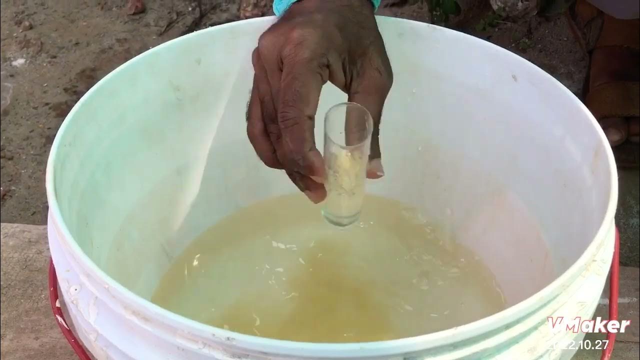 Vannamei Nursery Pond Preparation YouTube vannamei-nursery-pond-preparation-youtube