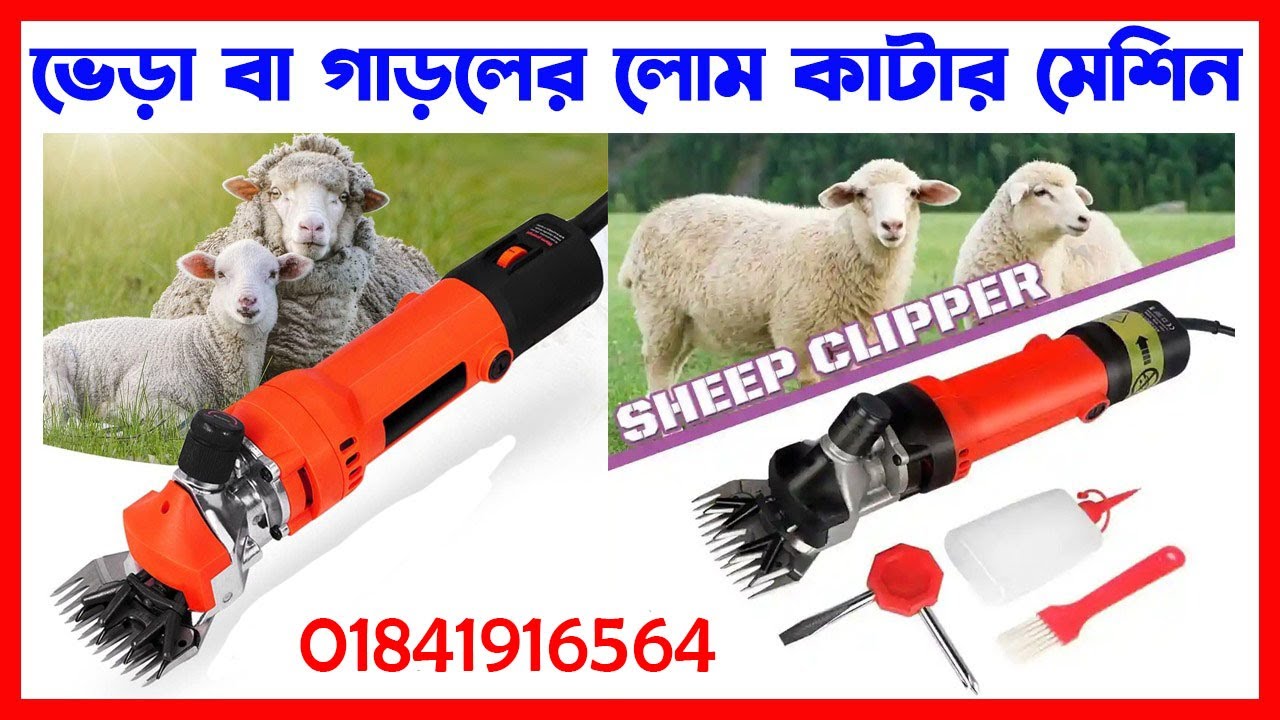 sheep clipper machine price in Bangladesh | ভেড়ার লোম কাটার মেশিন | sheep hair cutting machine,