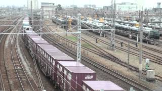 5071レ　EF66  120　鮫　代走　　西明石付近　2013年4月