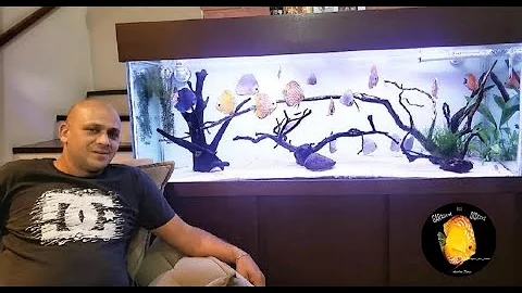 Discus World -  Conversa com Anselmo Flores