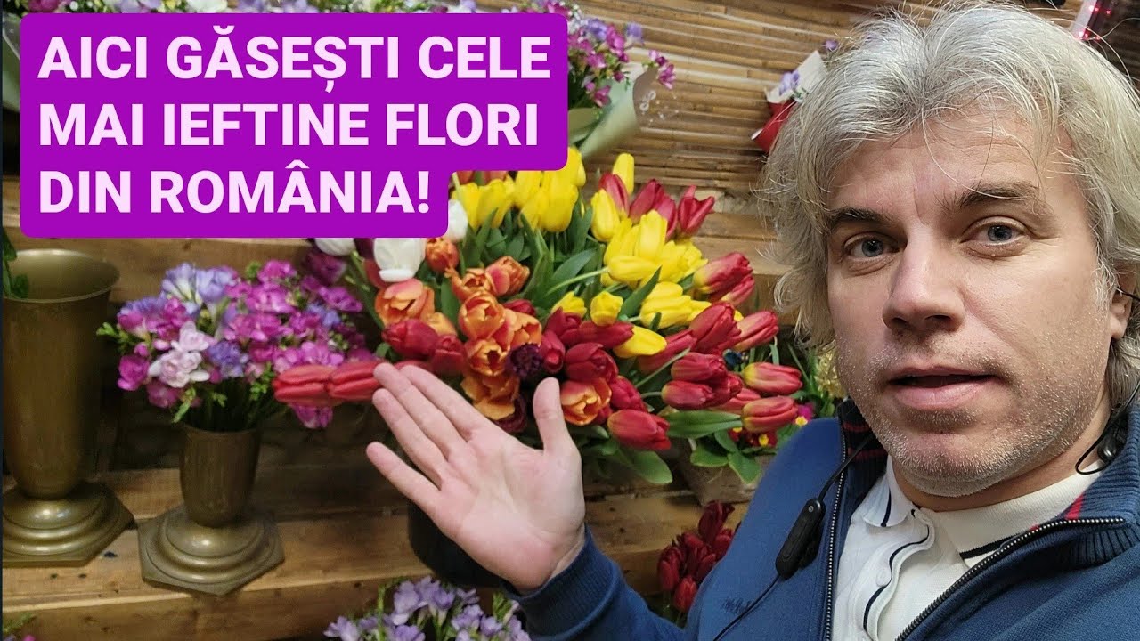 🔴 TARGUL de FLORI PUCHENI, cel mai ieftin din ROMANIA direct de la PRODUCATORI - Floraria lui Titone