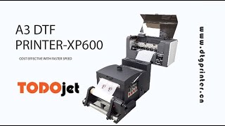 How to install A3 DTF printer with powder machine? -¿Cómo instalar la impresora A3 DTF?