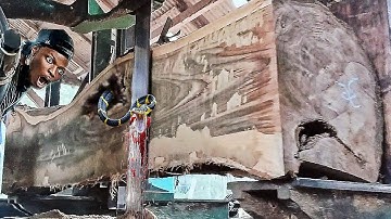 surprising discovery of hollow teak log in sawmill