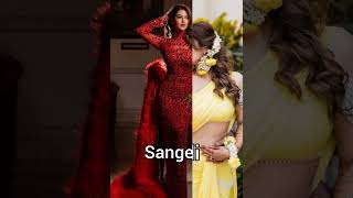 Sonarika Bhadoria & Vikas Parashar Wedding