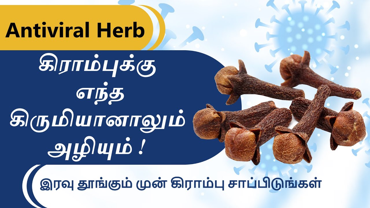 இரவு தூங்கும் முன் கிராம்பு சாப்பிடுவதால் ஏற்படும் நன்மைகள் benefits