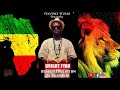 histoire du rastafarisme raconté par Bright fyah