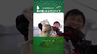 【バス釣り】雪のヒットシーン ザリバイブ #issei #赤松健