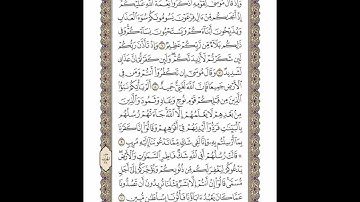 الوجه 256 من القرآن مكرر ١٠ مرات مع الآيات | سورة إبراهيم | الشيخ خليفة الطنيجي